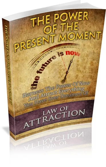 eCover representing The Power Of The Present Moment eBooks & Reports with Master Resell Rights