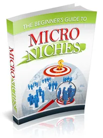 The Beginner's Guide to Micro Niches small