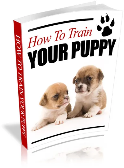 eCover representing How To Train Your Puppy eBooks & Reports with Private Label Rights