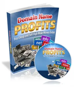 Domain Name Profits small