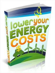 Lower Your Energy Costs small