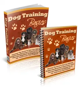 Dog Training Basics small