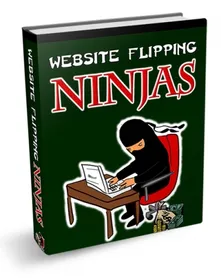 Website Flipping Ninjas small