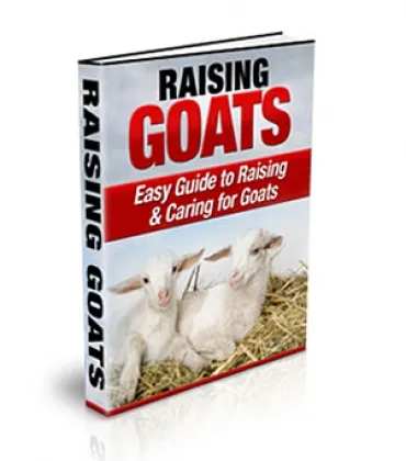 eCover representing Raising Goats - PLR eBooks & Reports with Private Label Rights