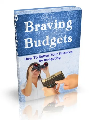 eCover representing Braving Budgets eBooks & Reports with Master Resell Rights