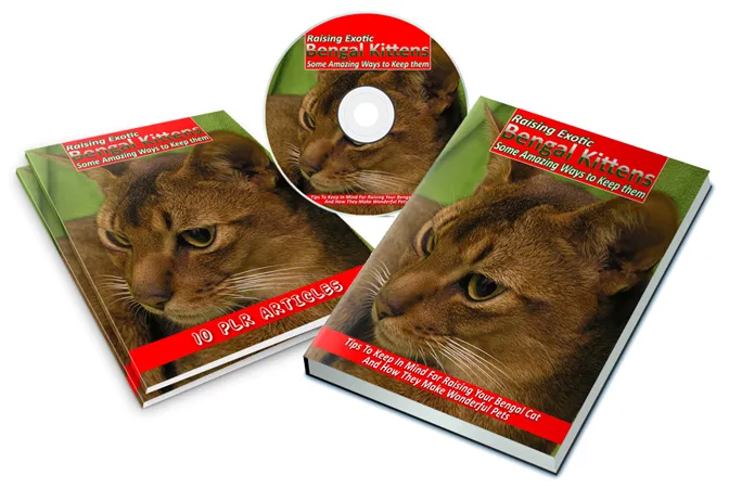 eCover representing Raising Exotic Bengal Kittens eBooks & Reports with Master Resell Rights