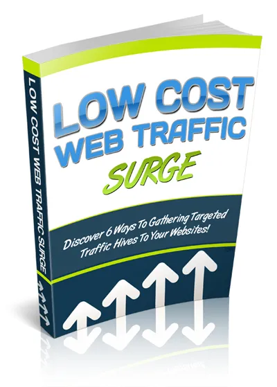 eCover representing Low Cost Web Traffic Surge eBooks & Reports with Private Label Rights