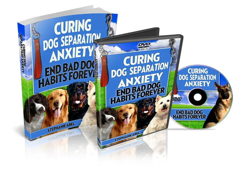 eCover representing Curing Dog Separation Anxiety eBooks & Reports/Videos, Tutorials & Courses with Private Label Rights