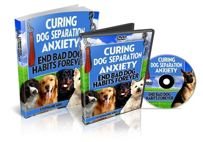 Curing Dog Separation Anxiety small