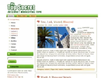 Top Secret WordPress Theme small