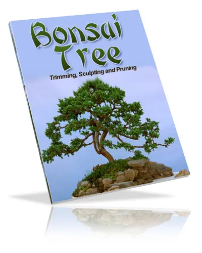 eCover representing Bonsai Tree eBooks & Reports with Private Label Rights