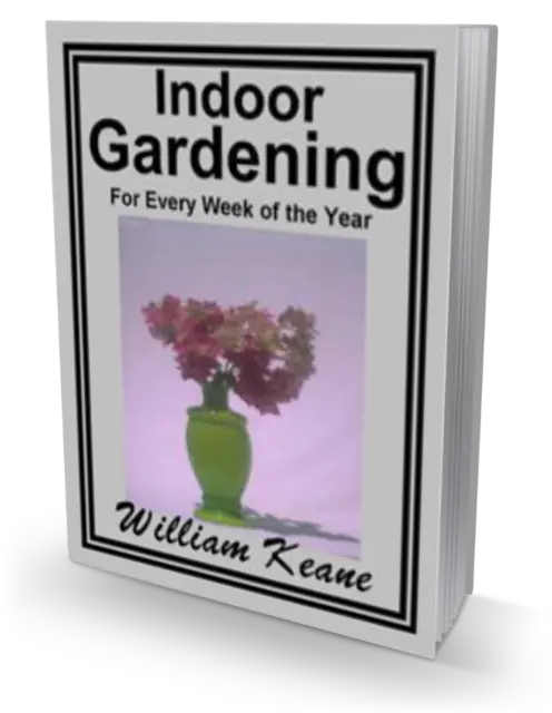 eCover representing Indoor Gardening eBooks & Reports with Master Resell Rights