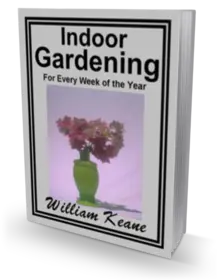 Indoor Gardening small