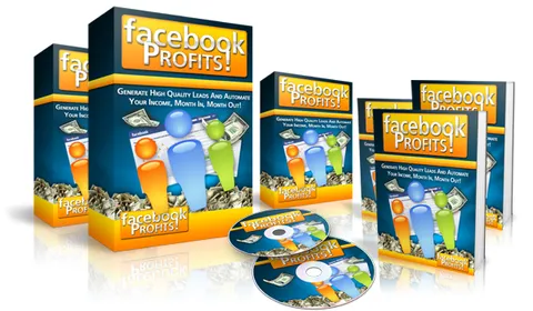 facebook Profits small