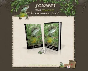 Iguana Survival - Minisite small