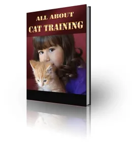 All About Cat Training small