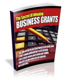 The Secrets Of Winning Business Grants small