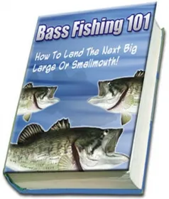 Bass Fishing 101 small