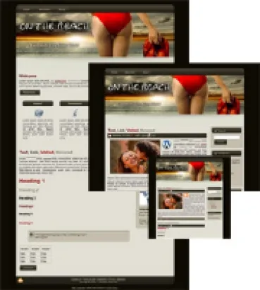 eCover representing On the Beach 01 - WP Theme  with Master Resell Rights