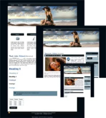 eCover representing On the Beach 03 - WP Theme  with Master Resell Rights