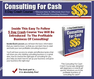 eCover representing Consulting For Cash eBooks & Reports with Private Label Rights