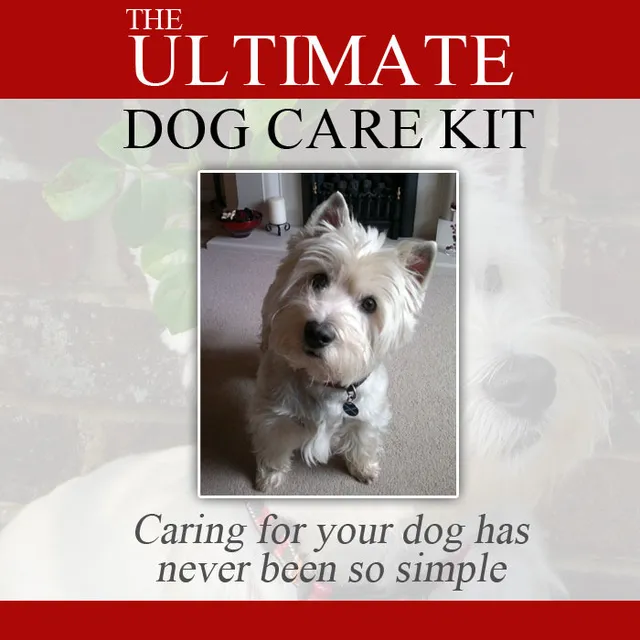 eCover representing Ultimate Dog Care Kit eBooks & Reports with Master Resell Rights