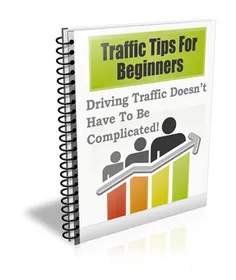 Traffic Tips for Beginners small