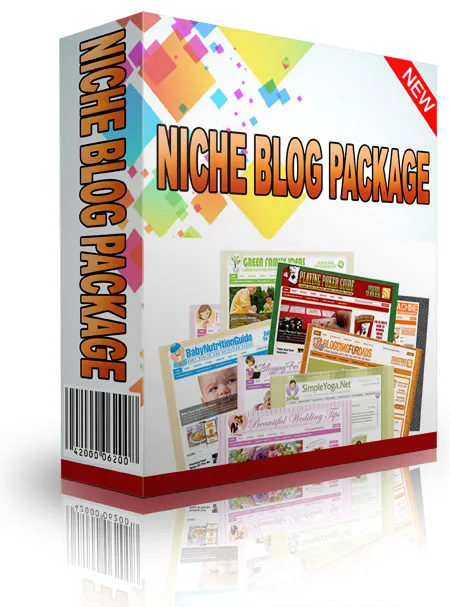 eCover representing PLR Niche Site Package November 2013 Templates & Themes with Private Label Rights