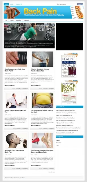 eCover representing Back Pain PLR Niche Blog  with Private Label Rights