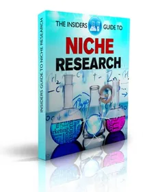 The Insiders Guide To Niche Research small