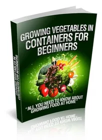 Growing Vegetables In Containers For Beginners small