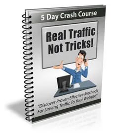 Real Traffic Not Tricks Newsletter small