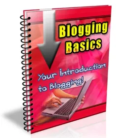 Blogging Basics 2013 small