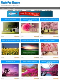 Photopro Wordpress Theme small