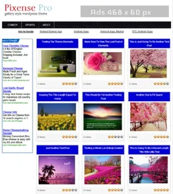 Pixense Pro Wordpress Theme small