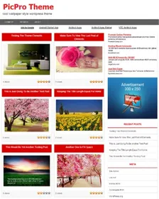 Picpro Wordpress Theme small