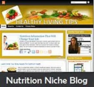 Nutrition Niche Blog small