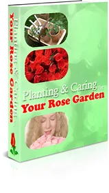 Planning & Caring Your Rose Garden small