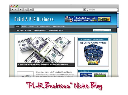 eCover representing PLR Business WordPress Niche Blog  with Personal Use Rights