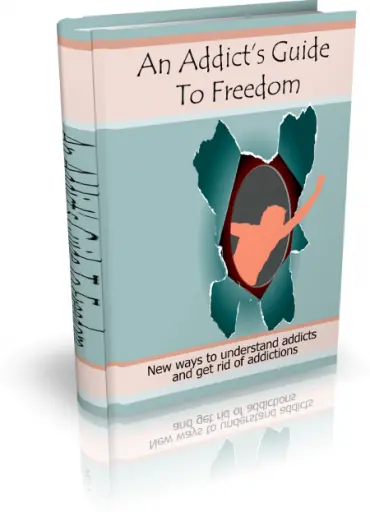 eCover representing An Addicts Guide To Freedom eBooks & Reports with Master Resell Rights
