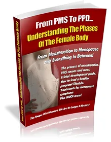 Understanding The Phases Of The Female Body small