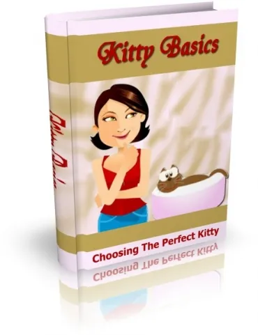 eCover representing Kitty Basics eBooks & Reports with Master Resell Rights