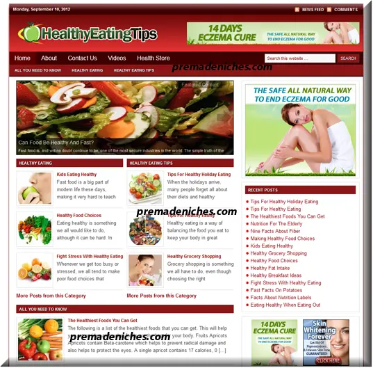 eCover representing Healthy Eating Niche Blog  with Private Label Rights