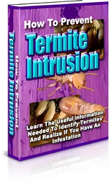How To Prevent Termite Intrusion small