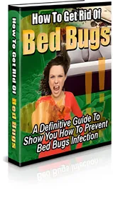 How To Get Rid Of Bed Bugs small