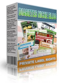 Diabetes Niche Blog small