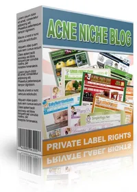 Acne Niche Blog small