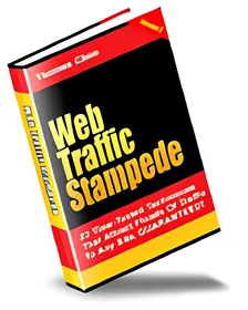 Web Traffic Stampede small