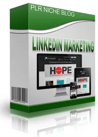 LinkedIn Marketing Niche Blog small