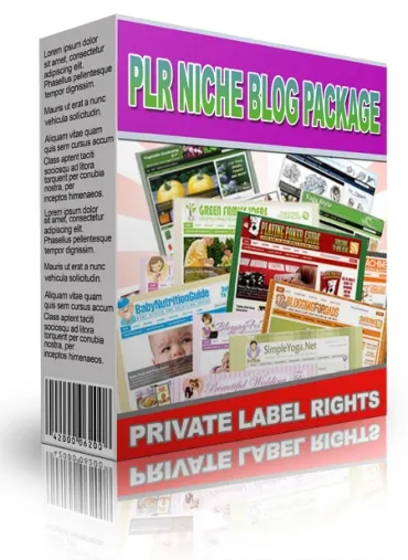 eCover representing PLR Niche Blog Package June 2013  with Private Label Rights